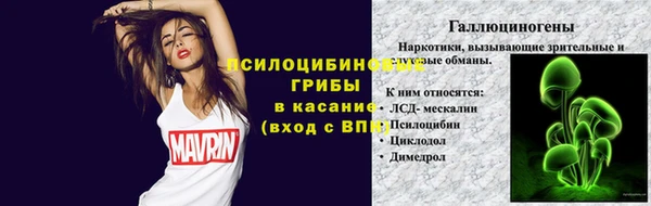 a pvp Алексин