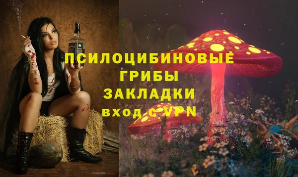 a pvp Алексин
