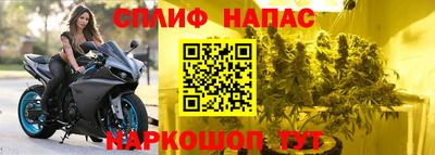 бошки Тула