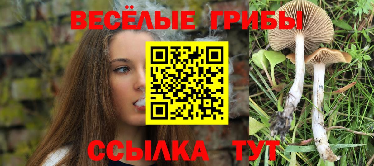 Псилоцибиновые грибы ЛСД  Вход с VPN  Удомля 